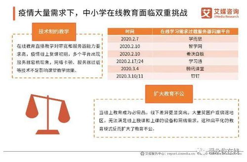 2020q1中国中小学在线教育用户行为研究