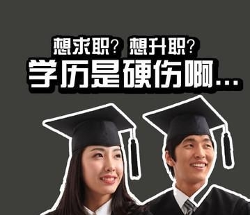 专升本的真正价值 解析专业与本科教育的核心差异