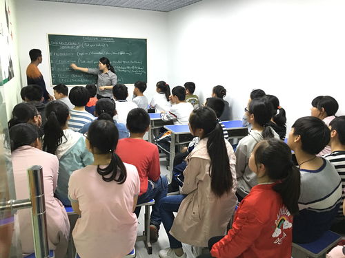 教育培训企业商情分析与教育咨询服务前景