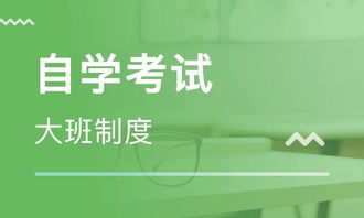济南心领秀教育咨询有限公司 专业教育咨询的引领者