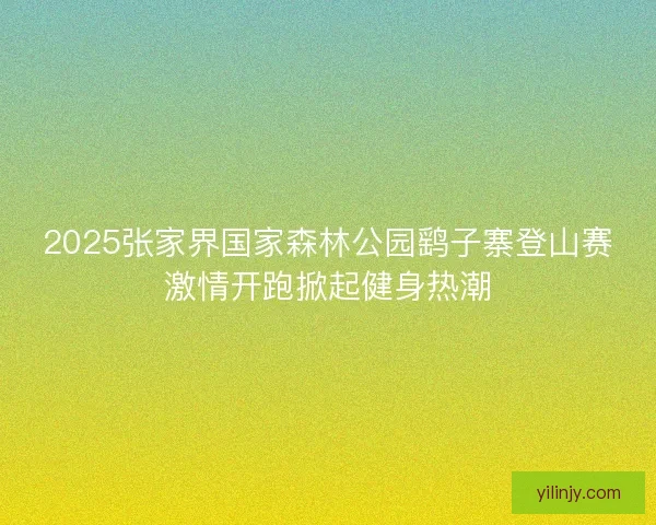 2025张家界国家森林公园鹞子寨登山赛激情开跑掀起健身热潮